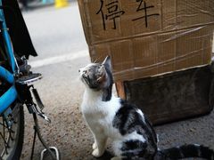 -永兴烧腊