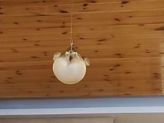 -天正河鲀·河豚亭(大连店)