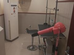 -艾贝尔宠物医院·24H转诊中心·肿瘤猫专科(江宁双龙店)