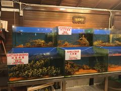 -真浪花园海鲜餐馆