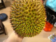 -油麻地果栏