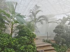 -瑞阁温泉酒店温泉中心