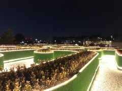 -莫子山公园