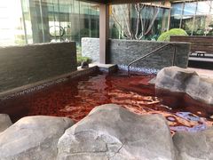 -北京乐多港万豪酒店汤乐宫温泉