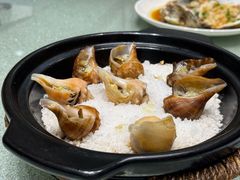 盐焗大红螺-舌尖上·霞浦滩涂海鲜(总店)