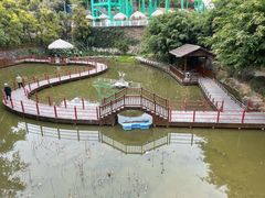 -珠海圆明新园