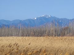 -野鸭湖国家湿地公园
