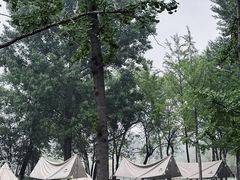 -林栖谷森林康养度假区