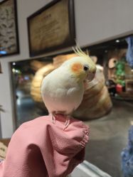 -Zoolung Zoolung动物主题公园(海信广场店)