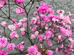 -亭亭鲜花店(中山北路店)