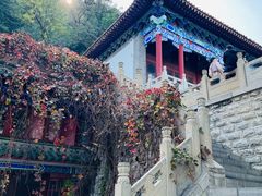 -千佛山风景名胜区