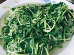 清炒马兰头-下塘街25号农家菜馆(新场店)
