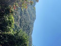 -阳台山森林公园