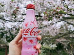 -嘉定紫藤园