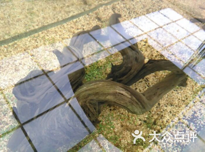 阳光百货--其他-android_upload_pic图片-沈阳购物-大众点评网