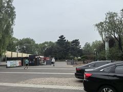 -大兴滨河森林公园