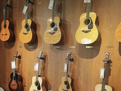 -知音艺术教育培训·钢琴培训·音乐培训(河西金鹰世界校区)