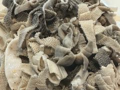 -宋记爆肚(酒仙桥店)