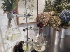 -植物学家的女儿(北马道巷店)