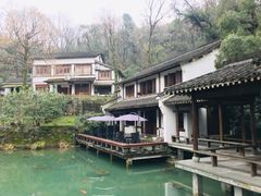 -嘉龙茶庄