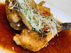 -蝶园·装修中(BFC外滩金融中心店)