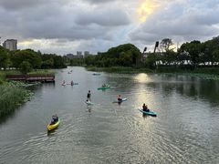 -新江湾城公园