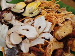 -野菌园·野生菌火锅首创第一家(关兴路总店)