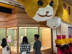 -帕帕拉兹宠物(亚洲旗舰店)