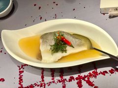 fusion水煮鱼-梧桐北京烤鸭·铜锅涮肉(海岸城店)