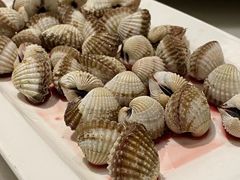 -华盛丰温州大排档(东三环南路店)