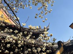 -龙华寺