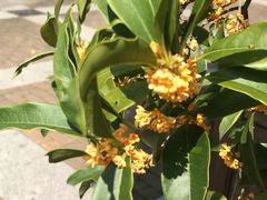 -苏州河梦清园环保主题公园