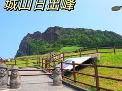 -济州森林小火车生态公园