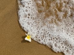 -三亚海棠湾喜来登度假酒店