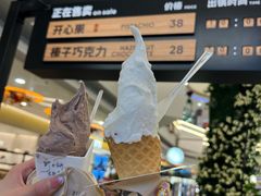-野人先生Gelato(上海长宁龙之梦店)