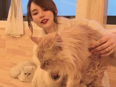 -猫腻·猫咖·撸猫馆(星光大道店)