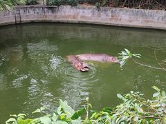 -猛牛牛杂(商贸城店)