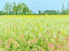 -中国天府农业博览园