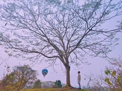 -中国科学院西双版纳热带植物园