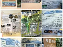 -青藏高原野生动物园