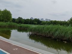 -太阳宫公园