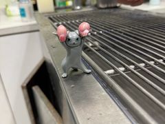 -艾吉宠物医院·疑难杂症转诊中心·猫友好(碧江路院)