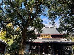 -岳王庙