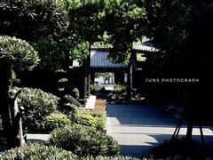 -香积寺