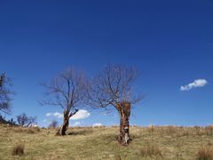 -硗碛藏寨·神木垒景区