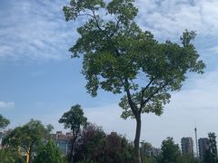 -合肥生态公园