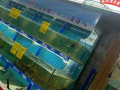 -坛南湾阿强农家乐.海鲜大排档老字号(福州地标美食店)