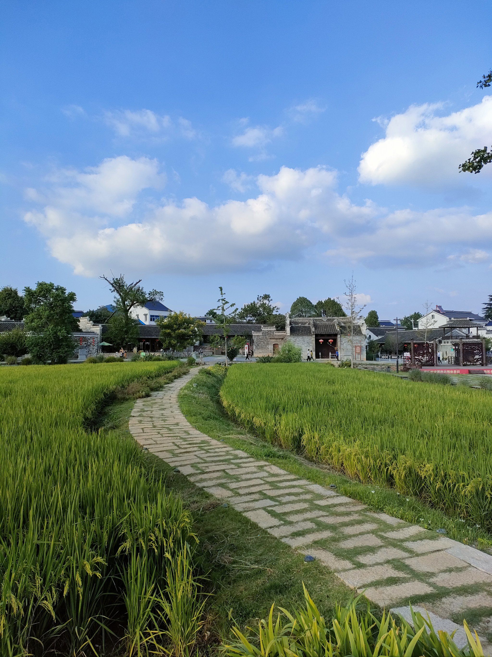 优质作者追光计划#美丽乡村#0元玩转这座城#分享治愈系风景#我拍档哪