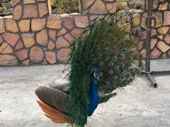 -金庭庄园酒店-停车场