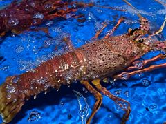 -徐记海鲜(曲江南湖店)